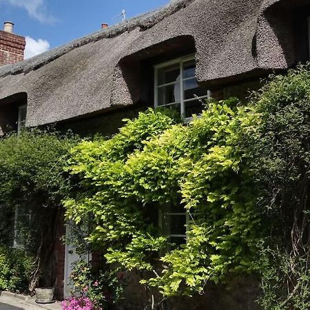 Little Thatch Cottage - Cerne Abbas, Dorset Luaran gambar