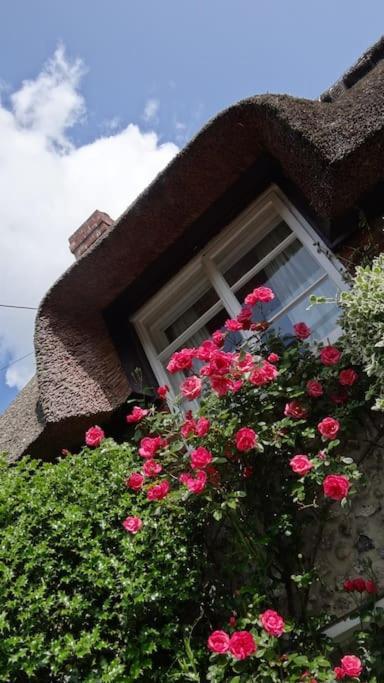 Little Thatch Cottage - Cerne Abbas, Dorset Luaran gambar