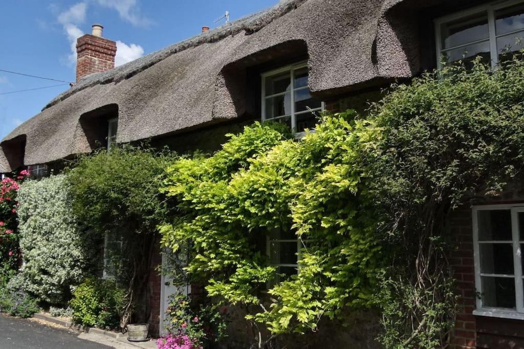 Little Thatch Cottage - Cerne Abbas, Dorset Luaran gambar